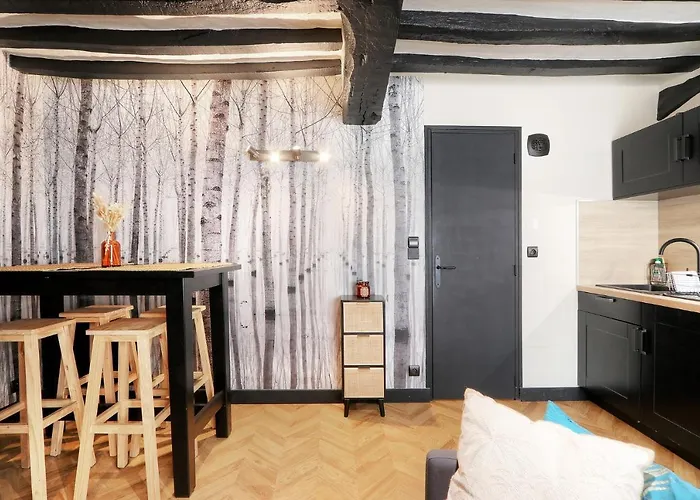 Le Moon, Bel Appartement Pres Du Parc Du Thabor