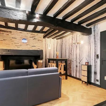 Le Moon, Bel Appartement Pres Du Parc Du Thabor Rennes Buitenkant foto