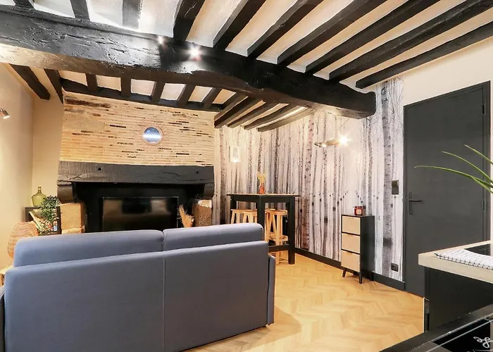 Le Moon, Bel Appartement Pres Du Parc Du Thabor